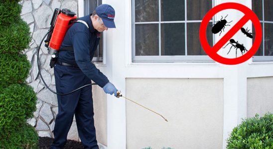 Yahşihan Kene İlaçlama böcek ilaçlama ve haşere kontrolü — ilaclama-tr.com
